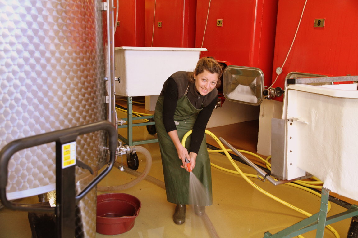 Winery - Cleaning