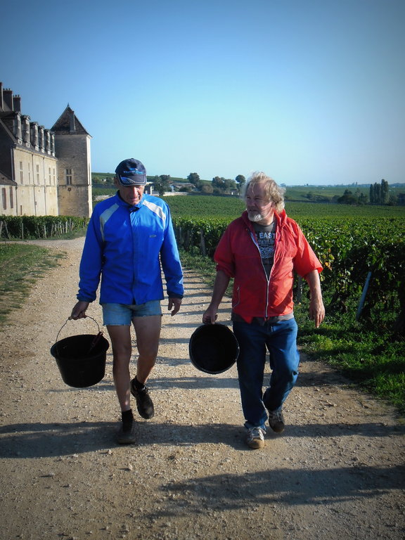 Vendanges 2015