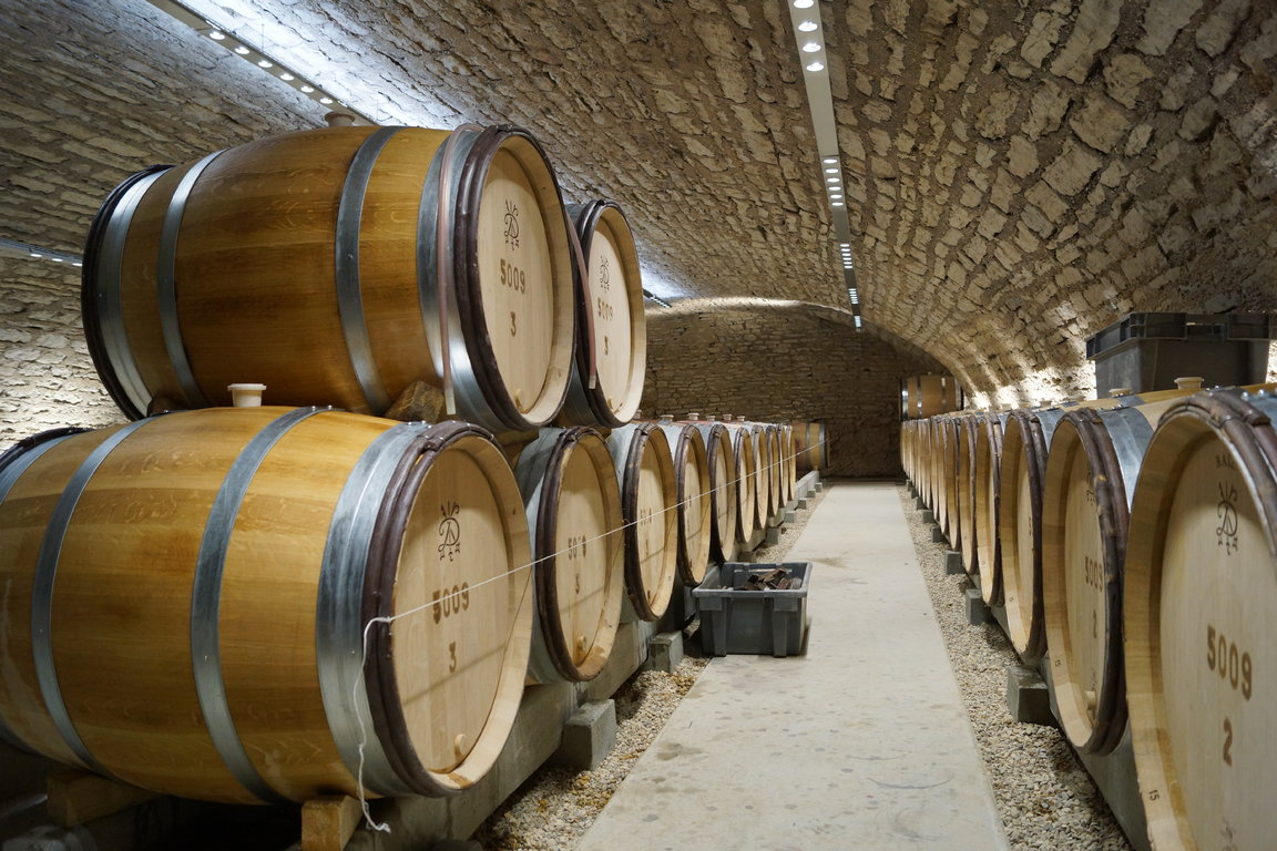 Cellars - Domaine Drouhin-Laroze