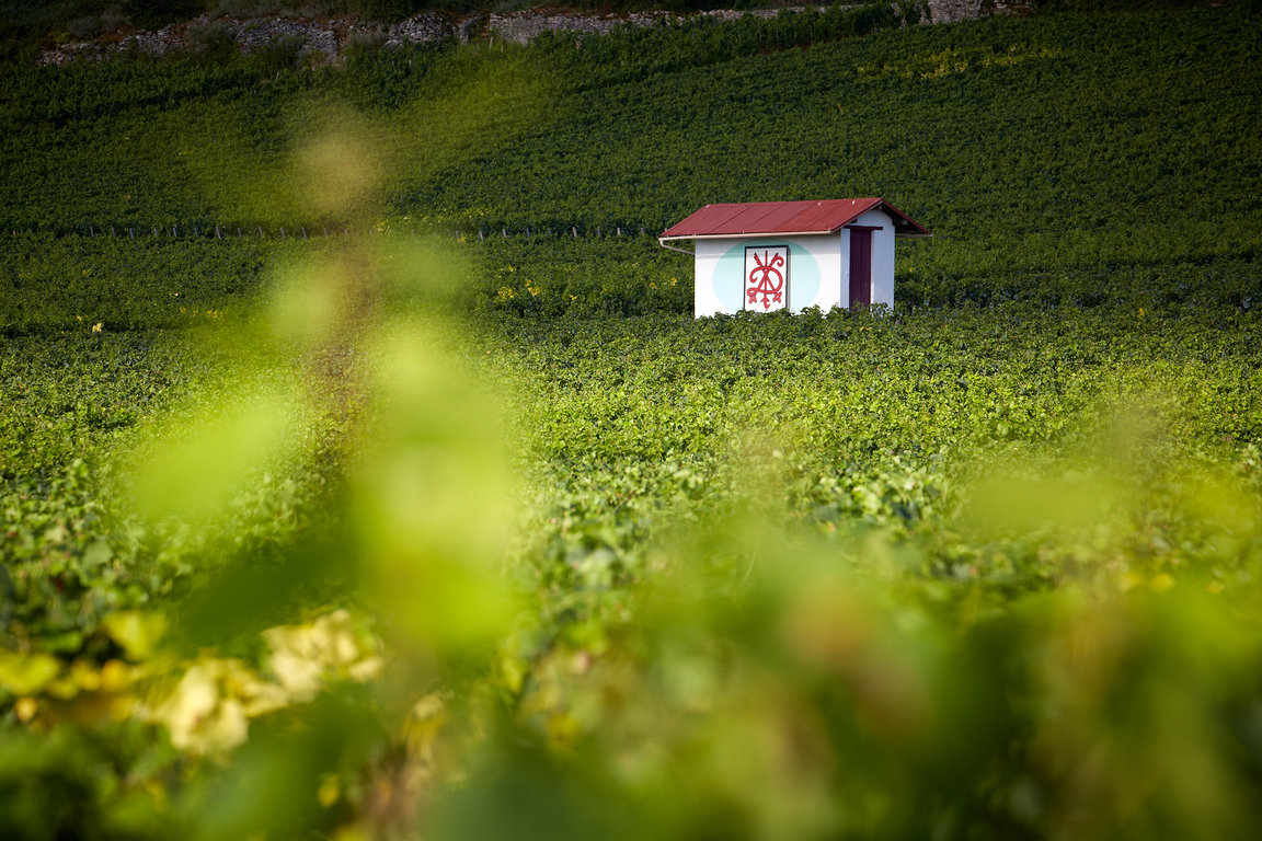 Chambertin-Clos de Beze