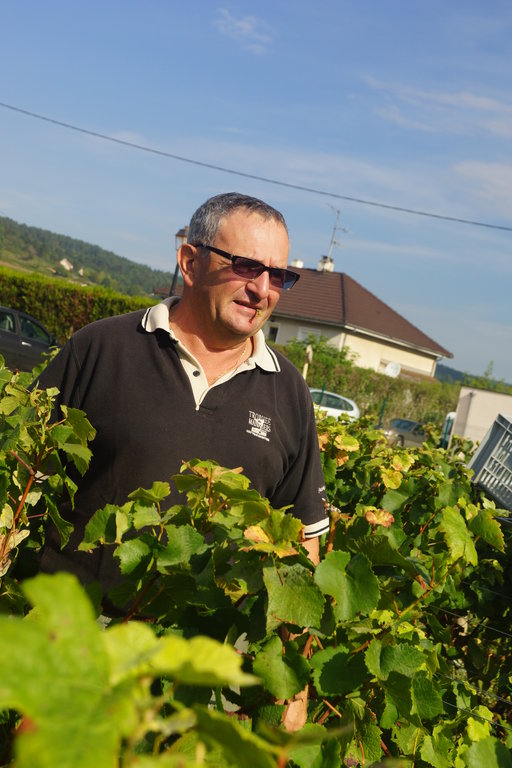 Vendanges 2014